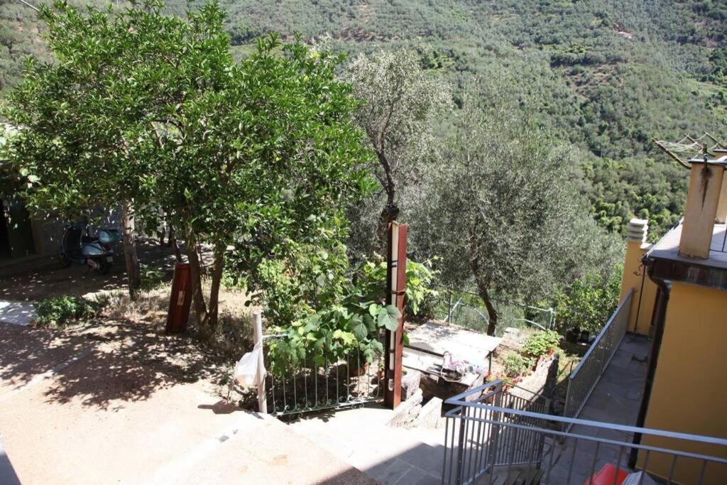 Le Case Della Lizza - Casa Verde ليفانتو المظهر الخارجي الصورة
